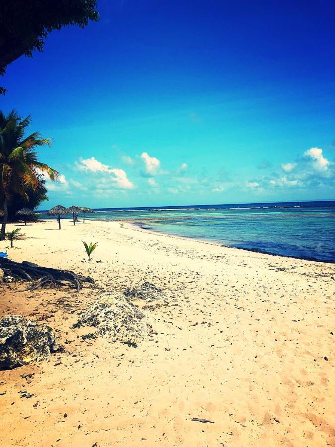 Ti Kaz Effet Mer Saint-Francois  Exteriör bild